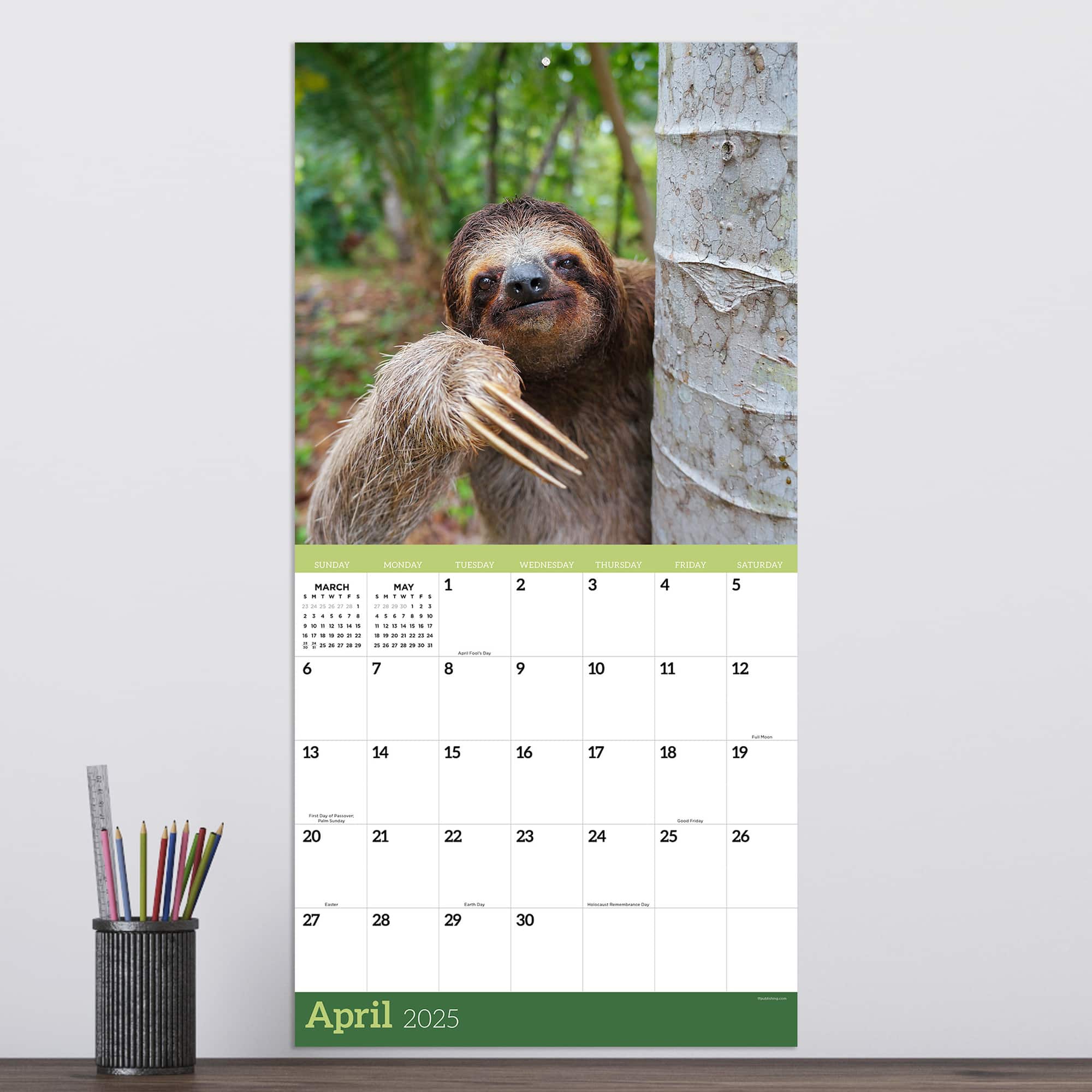TF Publishing 2025 Sloths Wall Calendar